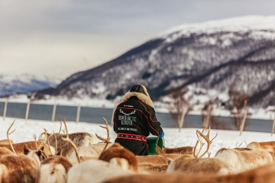 Tromsø: Reindeer Sledding & Feeding with a Sami Guide - Quick Packing Tips for Staying Happy in Tromsø Cold