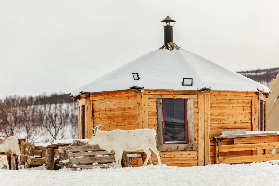 Tromsø: Reindeer Sledding & Feeding with a Sami Guide - Food and Drinks: Warm Lunch Plus Enough Hot Stuff to Stay Comfortable