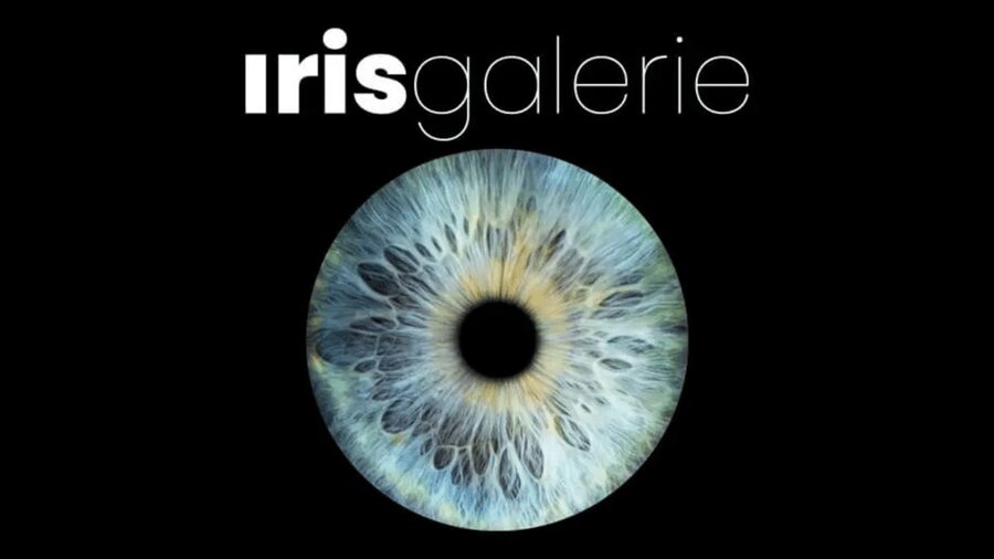 Tromsø: Reveal Your Eye Experience at the Iris Galerie - Key things to know before you go