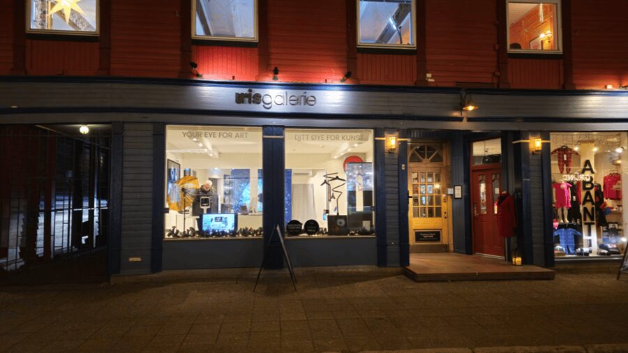 Tromsø: Reveal Your Eye Experience at the Iris Galerie - Price Check: Is $1.57 Worth It?