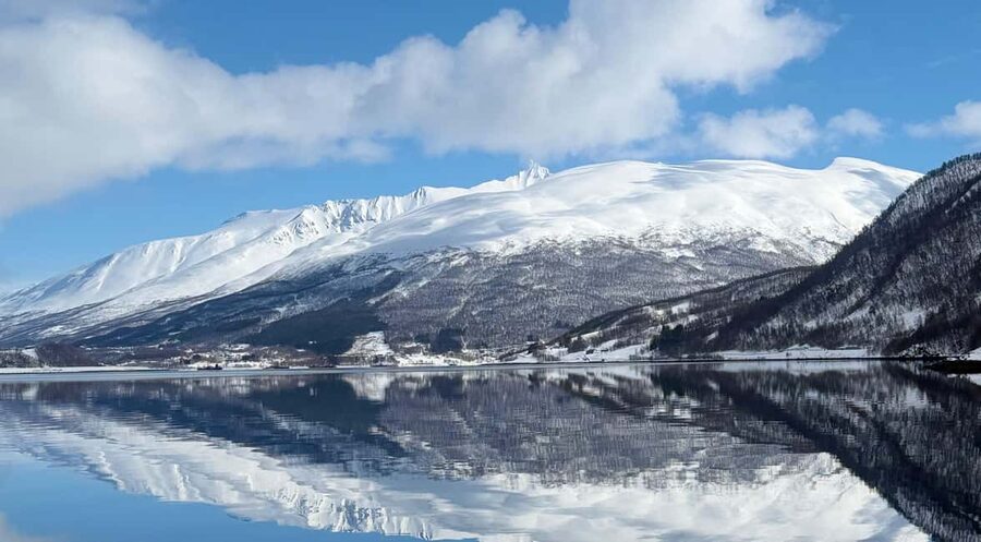 Tromsø’s Top-Rated Fjord & Fishing Cruise – All-Inclusive - Key Highlights Worth Your Time