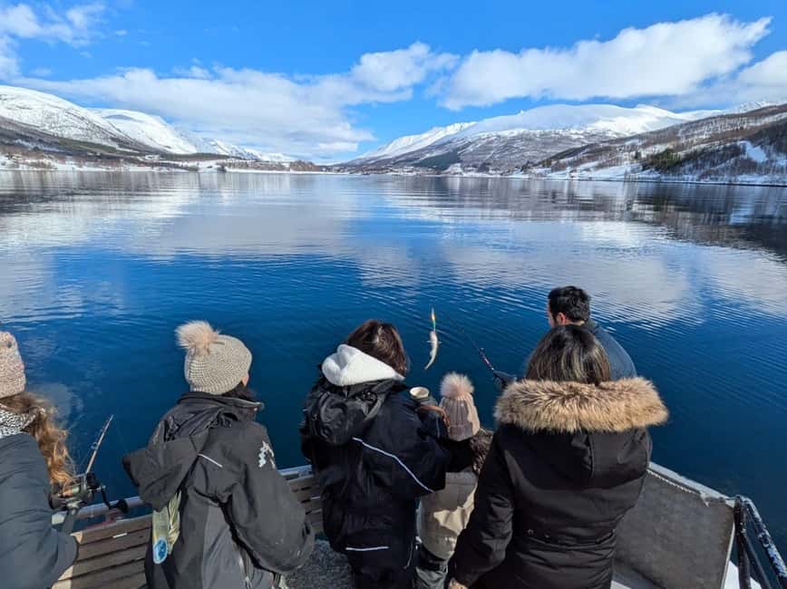 Tromsø’s Top-Rated Fjord & Fishing Cruise – All-Inclusive - Ryøya Photo Stop: Where Eaglets and Quiet Shore Moments Fit