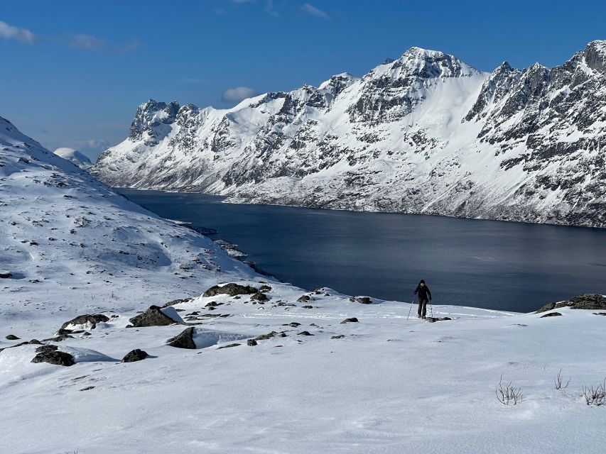 Tromso: Scenic & Eco-Friendly Snowshoeing Tour - Learning Snowshoes Without Making It Complicated