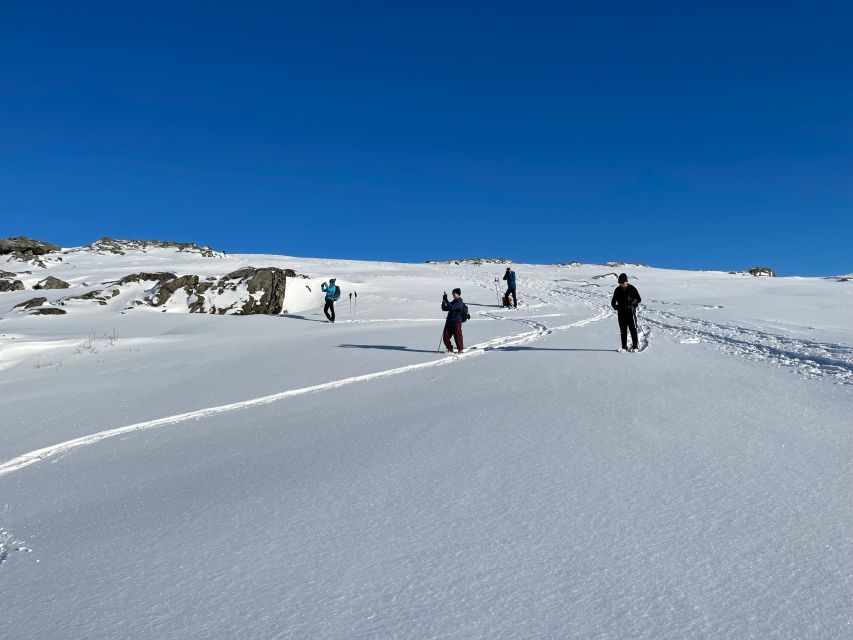 Tromso: Scenic & Eco-Friendly Snowshoeing Tour - Viewpoint Over Two Fjords: The Payoff for Quiet Walking