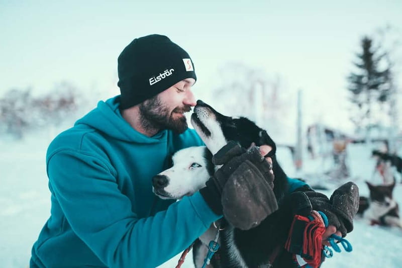Tromsø: Self-Drive Husky Dog Sledding Adventure - The Self-Drive System: Your Pair, Your Sled, Your Role Swaps