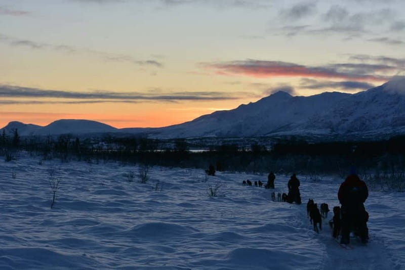 Tromsø: Self-Drive Husky Dog Sledding Adventure - Sami Lavvo Warm-Up: Hot Drinks, Cake, and a Fire-Bright Finish