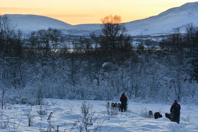 Tromsø: Self-Drive Husky Dog Sledding Adventure - Price and Value: Is $328 Per Person Worth It?