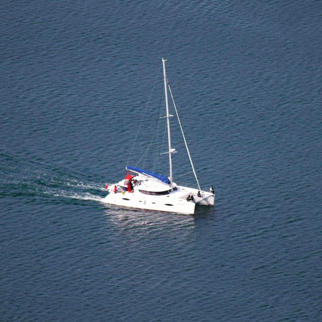 Tromso: Sightseeing Cruise by Catamaran with Snacks & Drinks - Snacks, coffee/tea, and included extras that make it feel like value