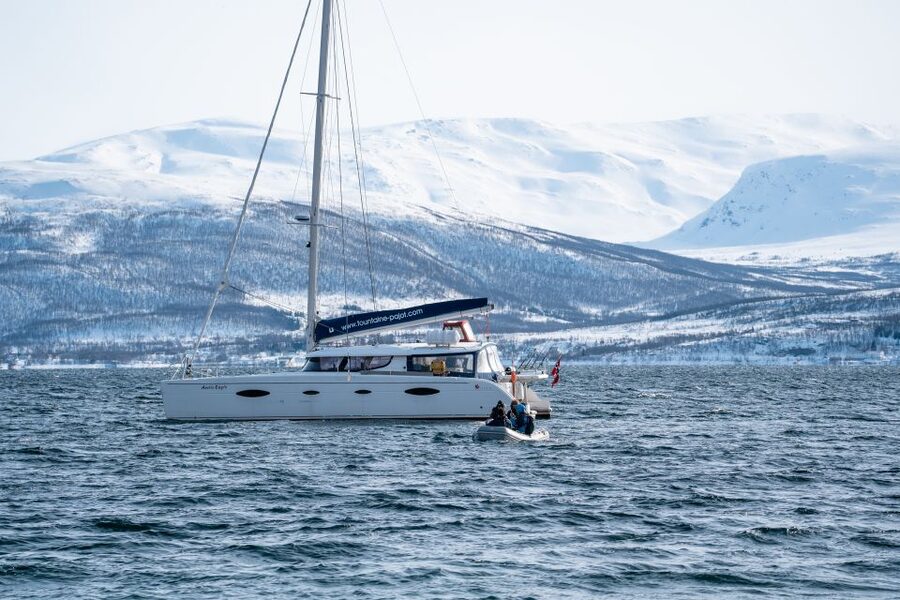 Tromso: Sightseeing Cruise by Catamaran with Snacks & Drinks - Who should book this Tromsø catamaran cruise
