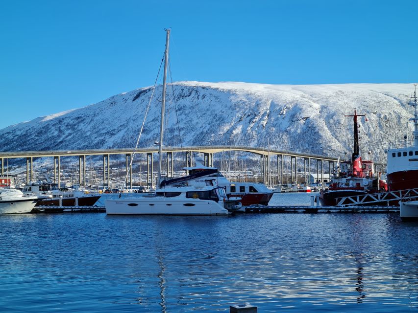 Tromso: Sightseeing Cruise by Catamaran with Snacks & Drinks - What to bring so you enjoy the cruise more