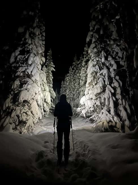 Tromsø: Ski touring (ski de randonnee) - How winter daylight changes the tour (and what to expect)