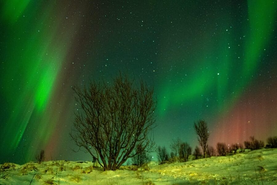 Tromsø: Small-Group Adventurous Northern Lights Hunt - How the guide chooses your route (and why that matters)