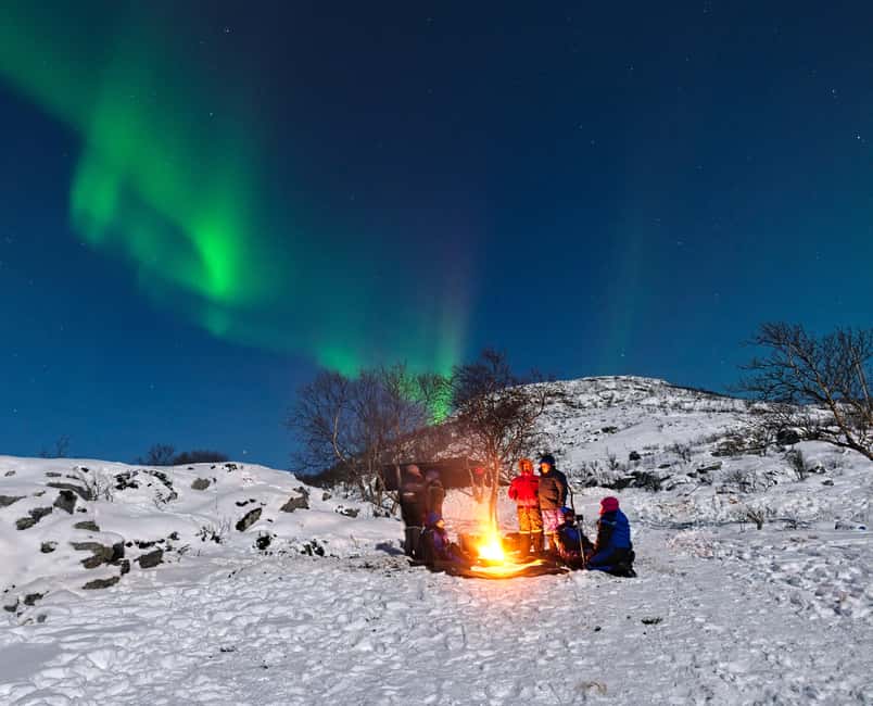 Tromsø: Small Group Northern Lights Hunt - Tromsø at Night: what makes this hunt different from a bus ride