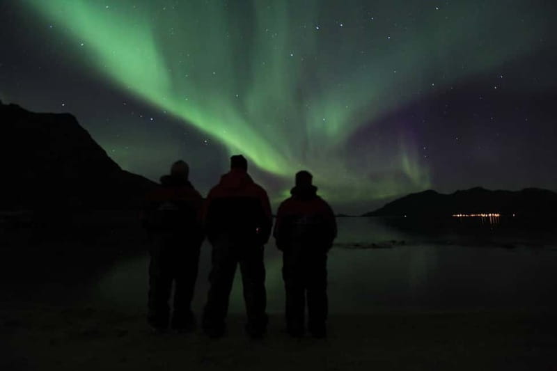 Tromsø: Small Group Northern Lights Hunt - The drive matters: driver skill, timing stops, and comfort on wheels