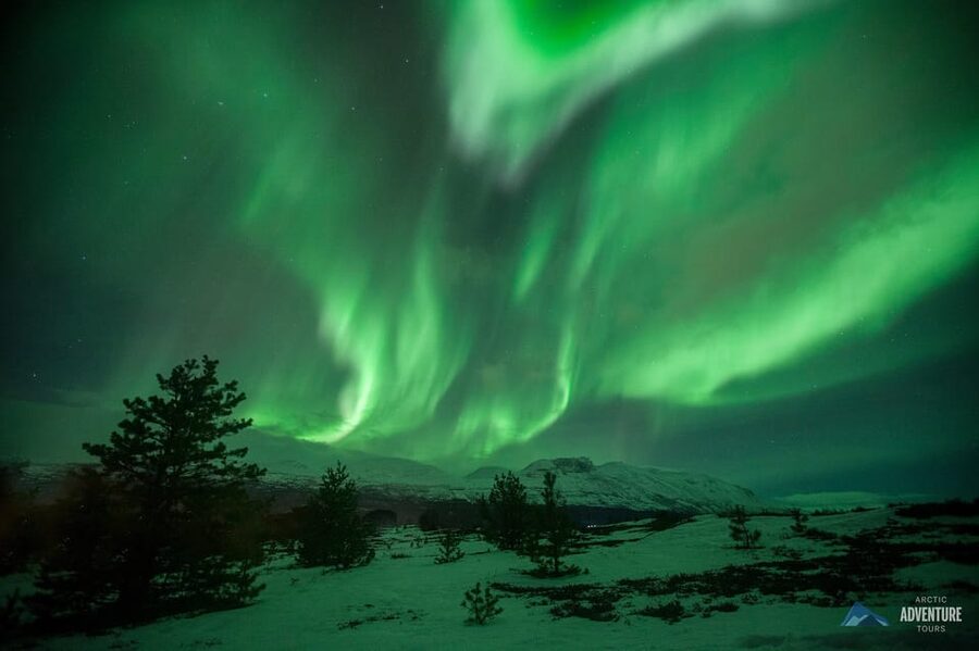 Tromsø: Small Group Northern Lights Hunt - Cost and value: what $206 buys beyond the aurora show