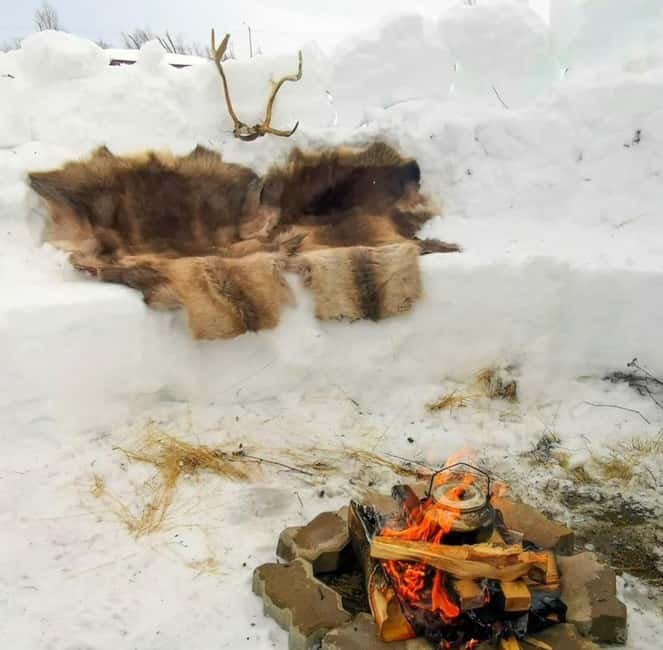 Tromsø: Snow Sledding, Mini Skiing, Lasso and Reindeer Hides - Why This Feels More Norwegian Than a Typical Snow Tour
