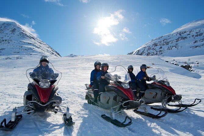 Tromsø Snowmobiling, Ice Domes Snow Park, and Reindeer Visit - Reindeer herd visit at Camp Tamok: what you’ll likely see