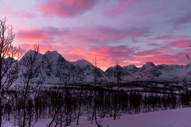 Tromso-Snowshoeing Excursion to Viewpoint - The snowshoe walk: practical, manageable, and scenic