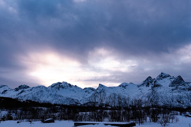 Tromso-Snowshoeing Excursion to Viewpoint - Who should book this snowshoe viewpoint outing