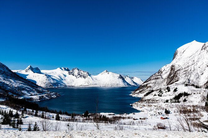 Tromso-Snowshoeing Excursion to Viewpoint - The 30-minute drive to the viewpoint: how the views get set up