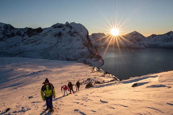 Tromso Snowshoeing - Valley, Fjord Views, Wildlife, Meal & Pickup - From Scandic Ishavhotel to the edge of the Arctic