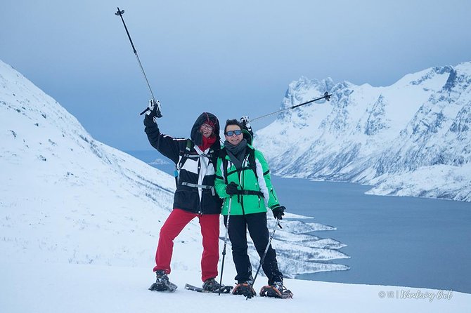 Tromso Snowshoeing - Valley, Fjord Views, Wildlife, Meal & Pickup - Wildlife spotting without false promises