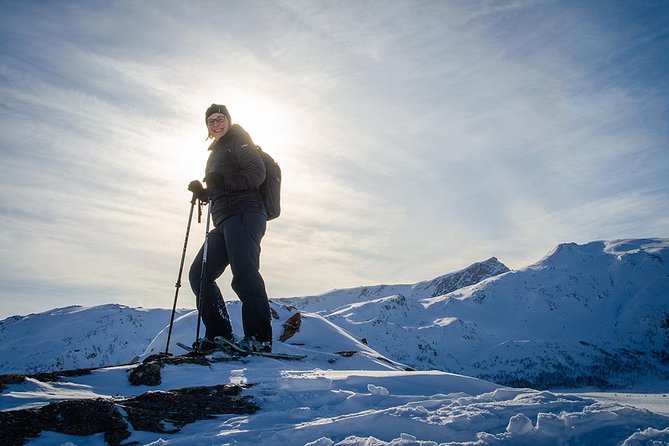 Tromso Snowshoeing - Valley, Fjord Views, Wildlife, Meal & Pickup - Lunch at the summit: vegetarian options, hot drinks, and eco touches