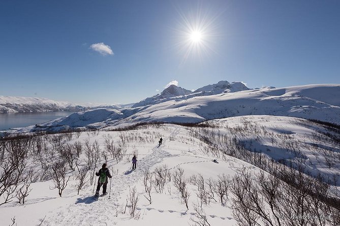 Tromso Snowshoeing - Valley, Fjord Views, Wildlife, Meal & Pickup - Price and value: what you’re really paying for