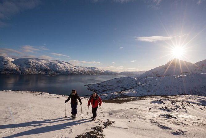 Tromso Snowshoeing - Valley, Fjord Views, Wildlife, Meal & Pickup - Who should book this Tromsø snowshoeing tour