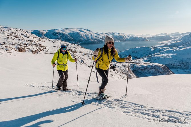 Tromso Snowshoeing - Valley, Fjord Views, Wildlife, Meal & Pickup - The actual snowshoe walk: summit views and photo stops