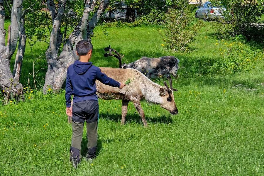Tromsø: Sommaroy Fjord Tour with Lunch Option & Midnight Sun - Key things to know before you go