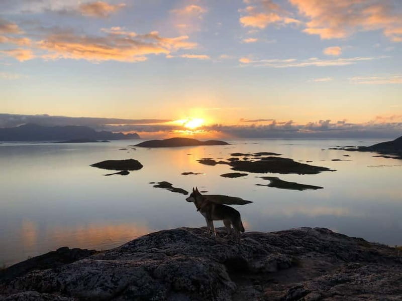 Tromsø: Sommarøy Islands Midnight Sun Tour - Tromsø to Sommarøy: why this 4-hour midnight sun trip works