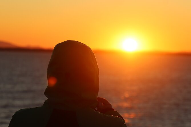 Tromsø & Sommarøy - Private coastal tour with a local - Sommarøy: beaches, skerries, and the best kind of free time