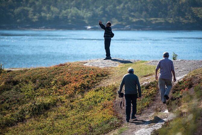 Tromsø & Sommarøy - Private coastal tour with a local - What you actually get included: coffee, snacks, bonfire potential, and photos