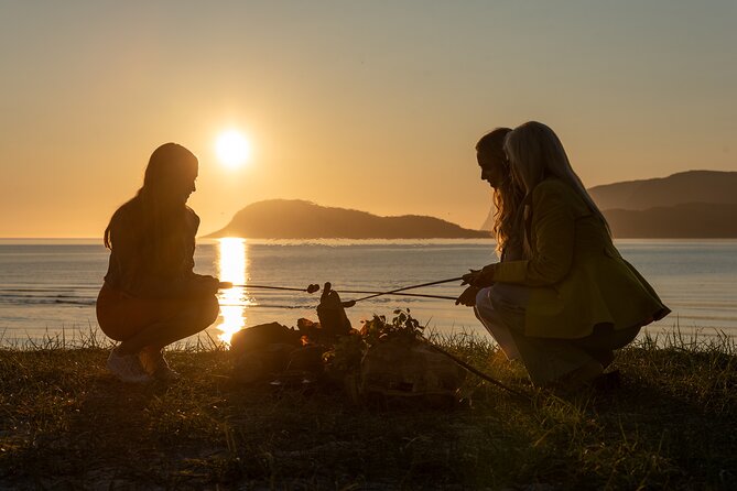 Tromsø & Sommarøy - Private coastal tour with a local - Private transportation and guide time: why it’s worth paying for