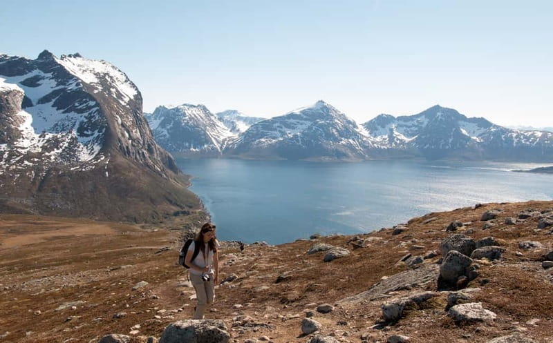 Tromsø: Summer Day Hike in the wilderness - Brosmetinden: your Arctic summit from Tromsø, without the big expedition vibe