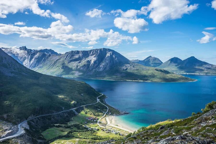 Tromsø: Summer Day Hike in the wilderness - Wildlife and berries: what to look for when the Arctic gets up close