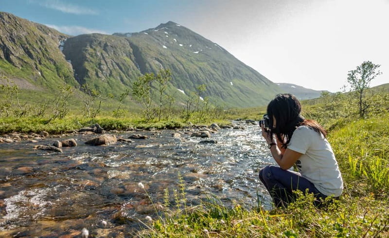 Tromsø: Summer Day Hike in the wilderness - Price and value: does $142 make sense for this half-day?