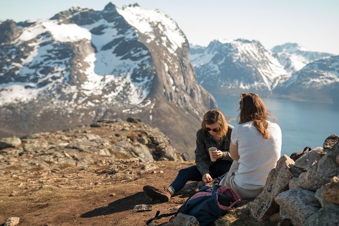 Tromsø: Summer Day Hike with Wandering Owl - Key highlights before you go