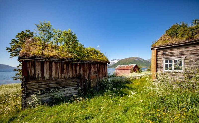 Tromsø: Summer Fjord Road Trip with Citizen Science - Meeting at Scandic Ishavshotel and Getting Set for a 4-Hour Day