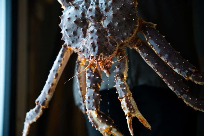 Tromsø: Tasty King Crab Adventure - Tromsø fjords first: the van or bus ride you’ll actually enjoy