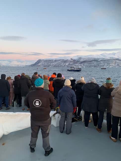 Tromsø Whale Safari with MS Keiser Wilhelm - Tromsø in whale season: why this feels different