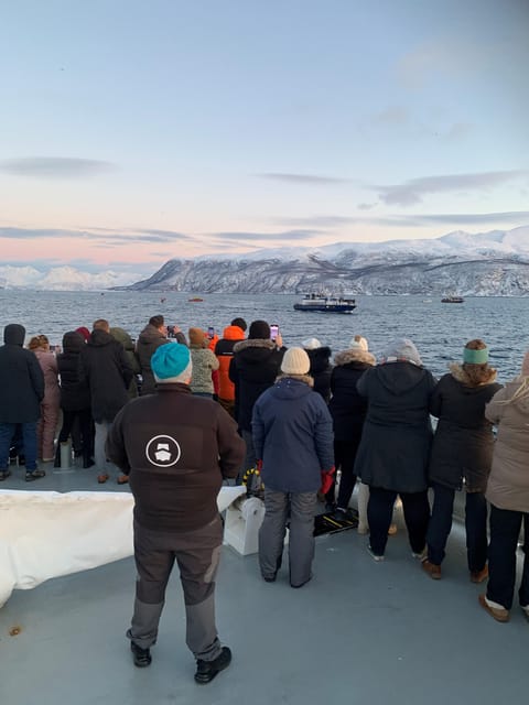 Tromsø Whale Safari with MS Keiser Wilhelm - The 6–8 hour day: timing that follows the whales