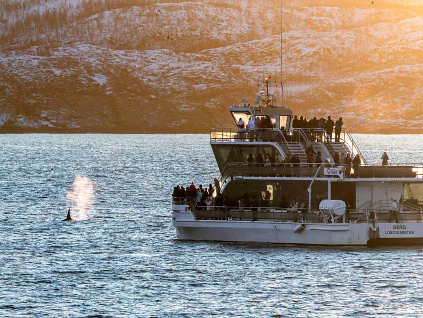 Tromsø: Whale Watching Tour by Hybrid-Electric Boat - Comfort, Seating, and the Heated Saloon Advantage