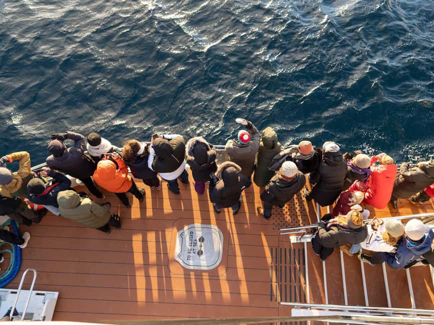 Tromsø: Whale Watching Tour by Hybrid-Electric Boat - Price and Value: Is $195 Worth It for a Hybrid Whale Hunt?