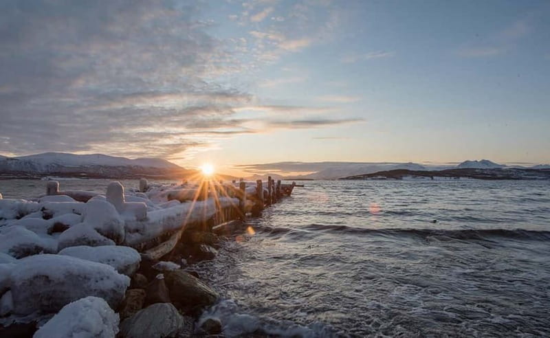 Tromsø: Winter Fjord Road Trip with Citizen Science - Key things I’d circle before you book