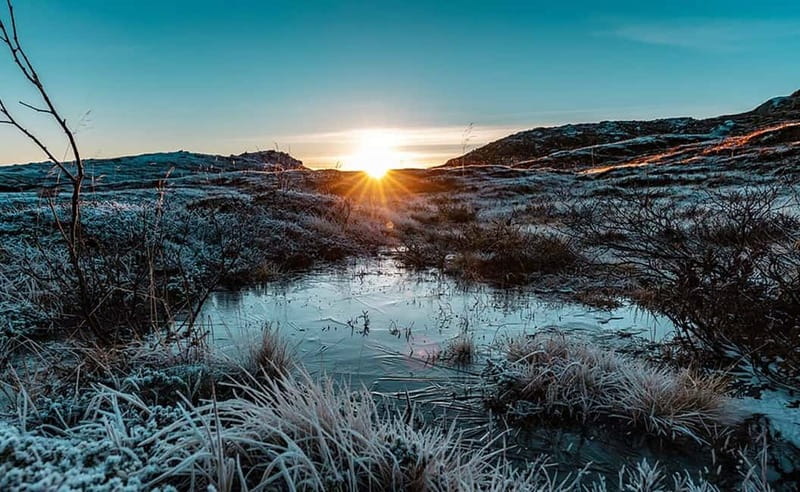 Tromsø: Winter Fjord Road Trip with Citizen Science - Wildlife spotting without the fantasy: what you can actually hope to see