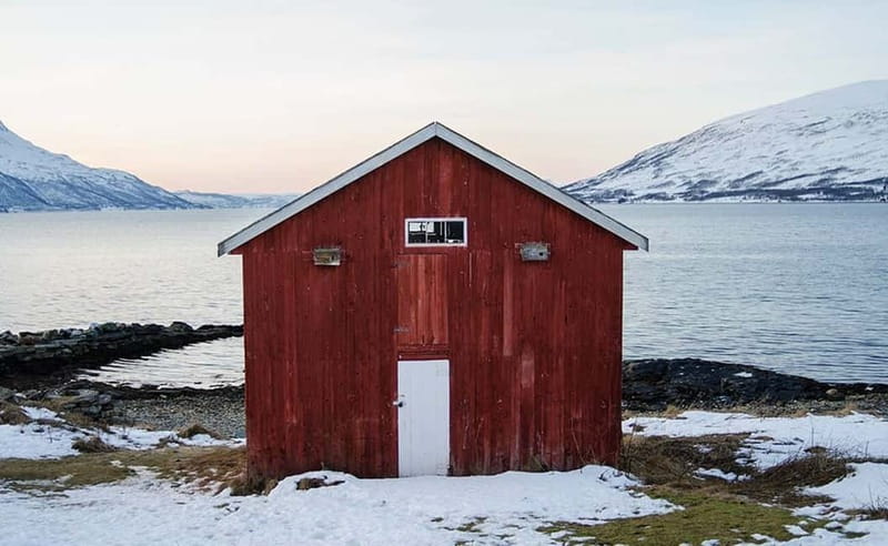 Tromsø: Winter Fjord Road Trip with Citizen Science - Citizen science in the Arctic: contributing to local research