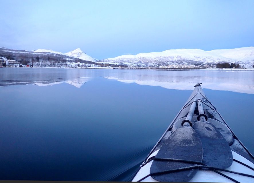 Tromsø: Winter Sea Kayaking Tour with Wildlife Sightings - Key things to know before you paddle in Tromsø