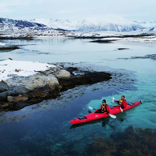 Tromsø: Winter Sea Kayaking Tour with Wildlife Sightings - Coming ashore: fire warmth, hot drinks, and a breather that feels earned